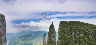 papi酱说自己不想工作只想发财,是真嘴替还是假共情?